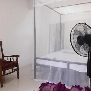 T & U Катунаяка